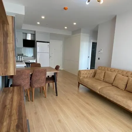 Luxurious Flat In The Heart Of Istanbul Apartment Istanbul